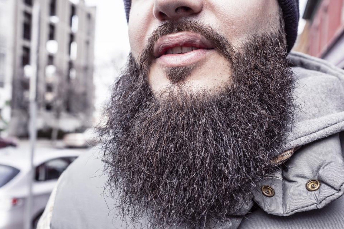 Well-groomed full beard